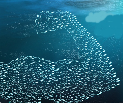 Sperm sayısı nasıl artırılır ?