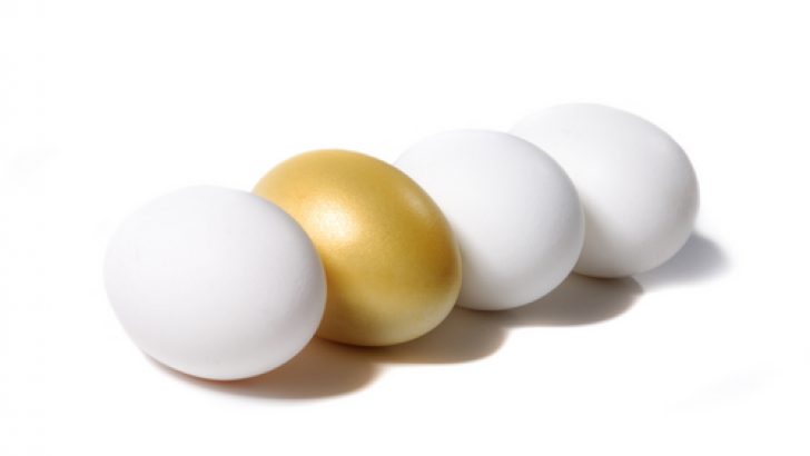 Altın yumurta nedir?