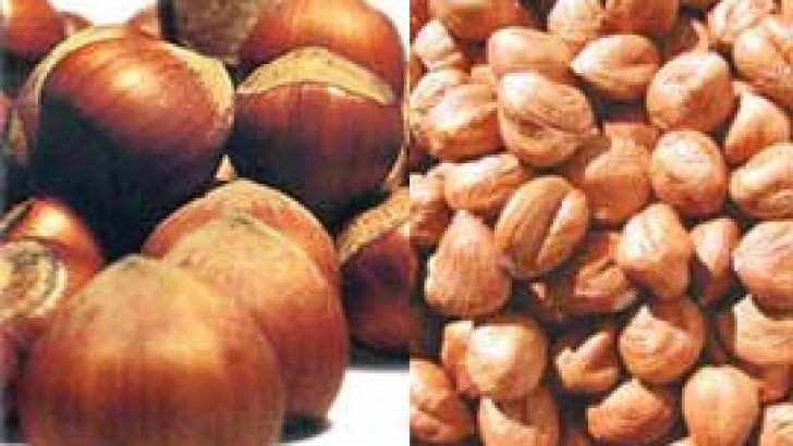 CİNSEL GÜÇSÜZLÜK İÇİN BUNLARI KULLANABİLİRSİNİZ.