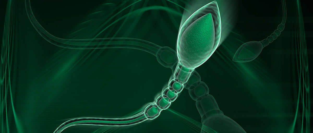 Tıkanıklığa bağlı sperm yokluğu (Obstrüktif azoospermia)