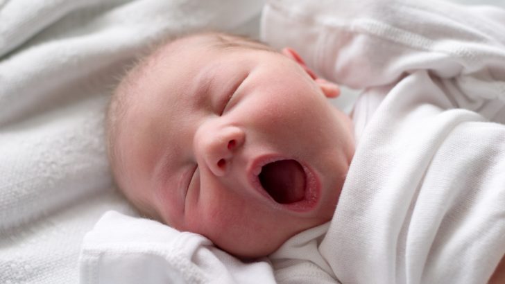 Tüp Bebek Uygulamalarında Başarıyı Etkileyen Faktörler