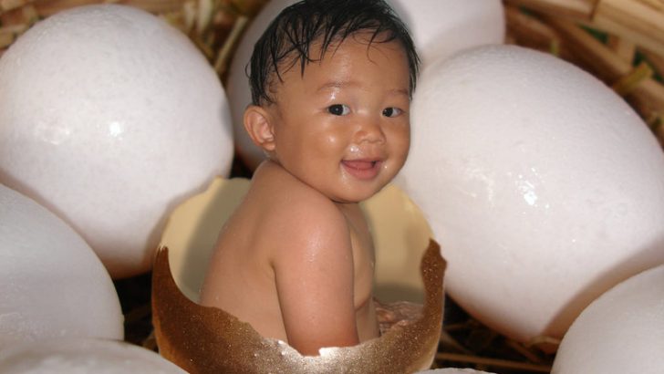 Tüp bebek tedavisinde yumurta kalitesi