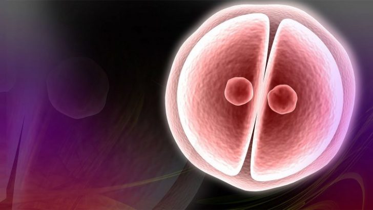 Embriyo kalitesi, Kadın yaşı ve FSH , spermde anomalilerle başetme ,düşük sonrası kanal tıkanıklığı,Tüp Bebek Tedavilerinde Hasta Soru ve Doktor Cevapları -87-