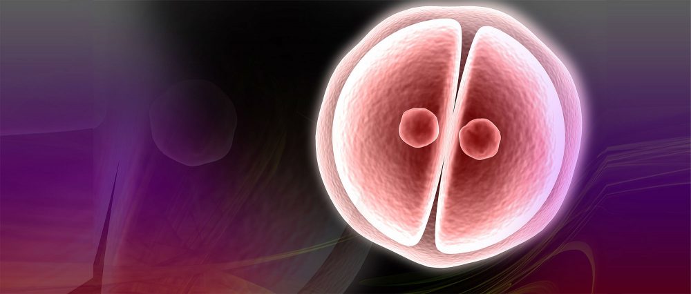 Embriyo kalitesi, Kadın yaşı ve FSH , spermde anomalilerle başetme ,düşük sonrası kanal tıkanıklığı,Tüp Bebek Tedavilerinde Hasta Soru ve Doktor Cevapları -87-