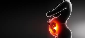 Taşıyıcı Annelik Nedir?