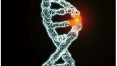 Genetik ve Erkek Kısırlığı nedir?