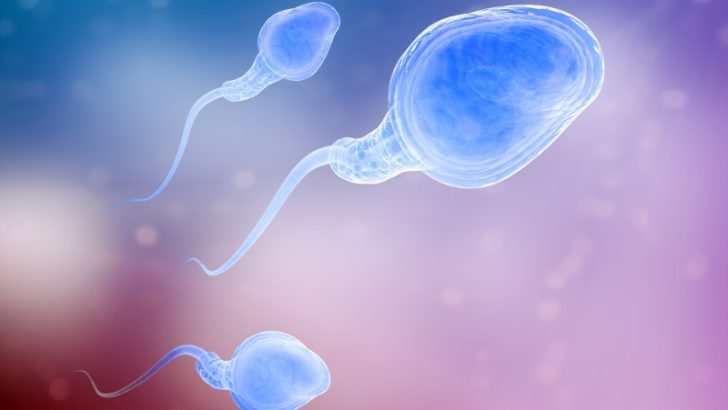 Sperm Yetmezliği, Sperm Azlığı Ne Demektir? Sperm Ne kadar olmalıdır ?