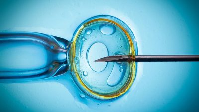Tüp bebek tedavisinde embriyo transferi hangi aşamalarda yapılıyor..
