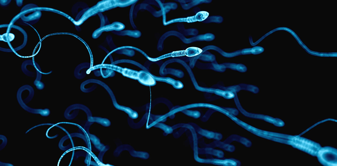Azosperm olan hastalarda canlı ve hareketli sperm çıkıyor mu?