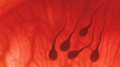 Spermde DNA da ve morfoloji de bozukluk olunca çocuk sahibi olunamaz mı?