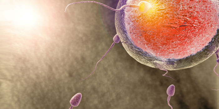 Tüp bebek tedavilerinde etkili sperm seçimi nasıl yapılıyor? Prof.Dr.Şahin Zeteroğlu