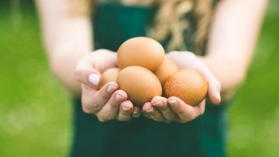 Erken Yumurta Yetmezliği belirtisi ,nedeni ,teşhisi ve tedavisi