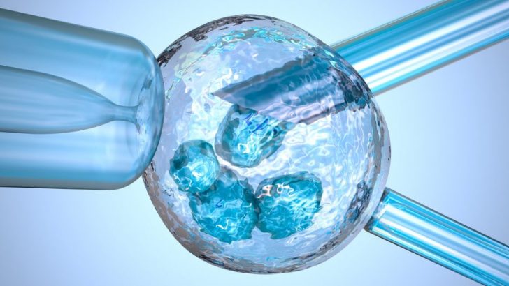 Hangi hastalıklarda genetik tanı yapılarak embriyo transferi yapılmalı?