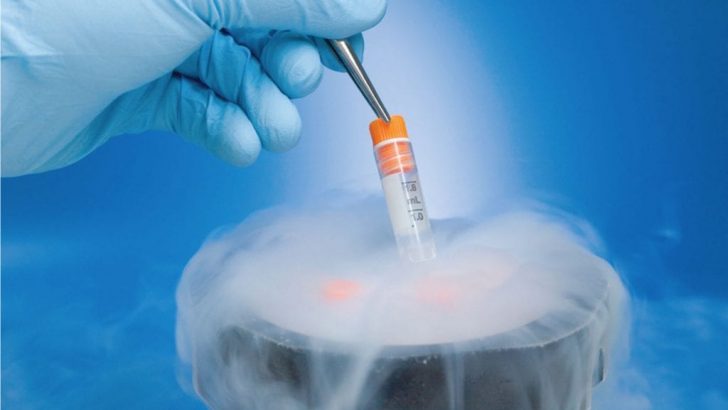 Dondurulmus embriyo transferi için rahim nasıl hazırlanır? Doç. Dr. Turgut Aydın