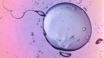 Spermde Motilite Sorunları Neden Olur ?