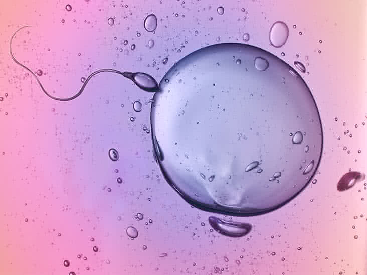 Spermde Motilite Sorunları Neden Olur ?