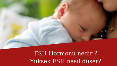 FSH Hormonu nedir ? Yüksek fsh nasıl düşer? FSH hormonu yüksek iken hamile kalanlar