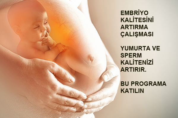 Embriyo Kalitesini Artırma Çalışması-Mutlaka Okuyun