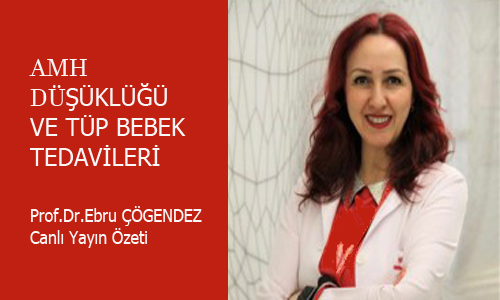 AHM Düşüklüğü ve Tüp Bebek Tedavileri .Prof.Dr.Ebru Çöğendez