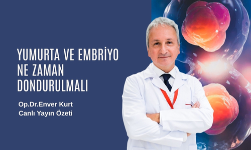 Yumurta ve Embriyo Ne Zaman Dondurulmalı? Op.Dr.Enver Kurt