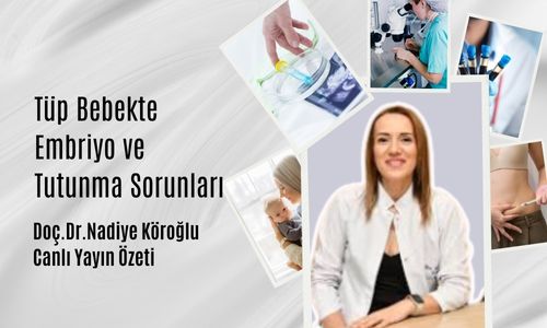 Tüp Bebekte Embriyo ve Tutunma Sorunları – Doç. Dr. Nadiye Köroğlu