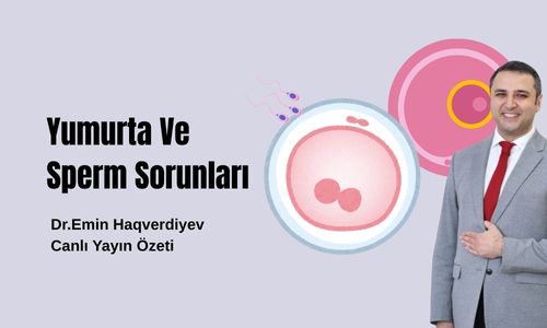 Yumurta ve Sperm Sorunları – Dr. Emin Haqverdiyev