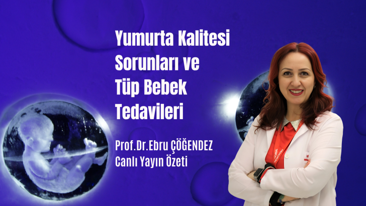 Yumurta Kalitesi Sorunları ve Tüp Bebek Tedavileri.
