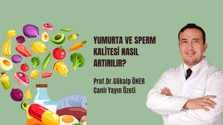 Yumurta ve Sperm Kalitesini Artırma Yöntemleri.
