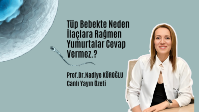 Tüp Bebekte Neden İlaçların Rağmen Yumurta Büyümez?