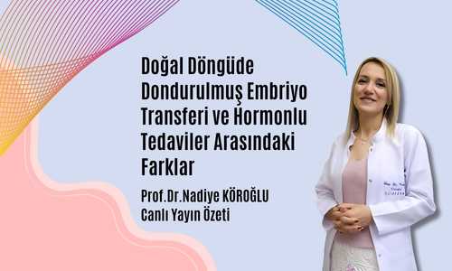 Doğal Döngüde Dondurulmuş Embriyo Transferi ve Hormonlu Tedaviler Arasındaki Farklar