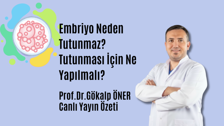 Embriyo Neden Tutunmaz? Tutunması İçin Ne Yapılmalı?
