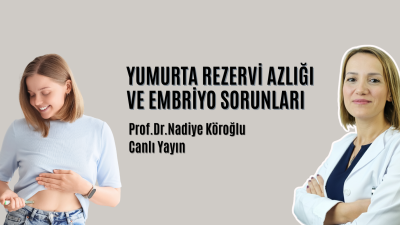 Yumurta Rezervi Azlığı ve Embriyo Sorunları.