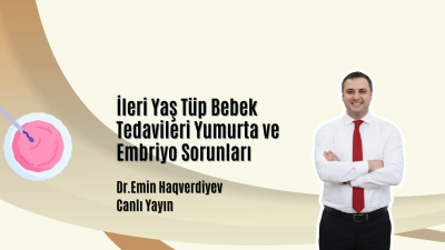 İleri Yaş Tüp Bebek Tedavileri,Yumurta ve Embriyo Sorunları.