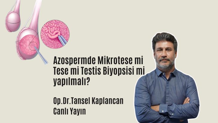 Azospermde Mikrotese mi Tese mi Testis Biyopsisi mi