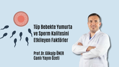 Yumurta ve Sperm Kalitesini Etkileyen Faktörler