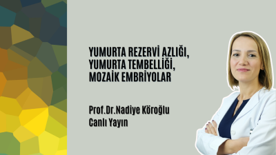 Yumurta Yetmezliği-Yumurta Tembelliği ,Mozaik Embriyo.