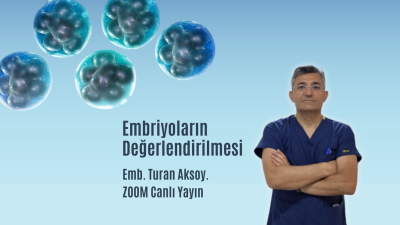 Embriyoların Değerlendirilmesi. Emb Turan Aksoy