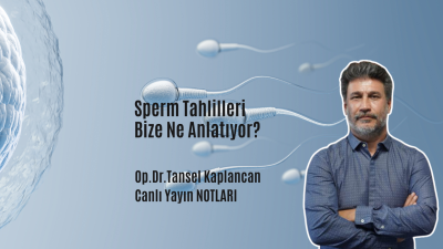 Sperm Tahlilleri Bize Ne Anlatıyor? Op.Dr.Tansel Kaplancan