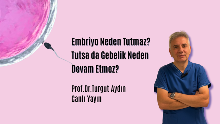Embriyo neden tutmaz? Tutsa da gebelik neden devam etmez?
