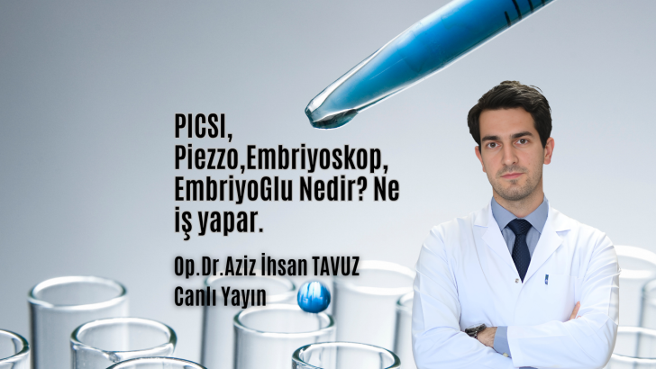 PICSI, Piezzo,Embriyoskop, EmbriyoGlu Nedir? Ne iş Yapar?