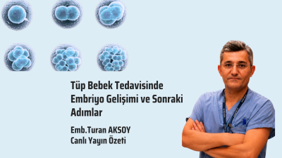 Tüp Bebek Tedavisinde Embriyo Gelişimi ve Sonraki Adımlar