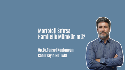 Sperm Morfolojisi Sıfır Olduğunda Gebelik Mümkün mü?