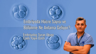 Embriyoda Hücre Sayısı ve Bölünme Ne Anlama Geliyor? Emb.Turan Aksoy