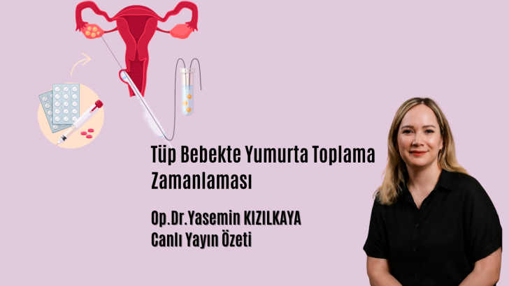 Tüp Bebekte Yumurta Toplama Zamanlaması