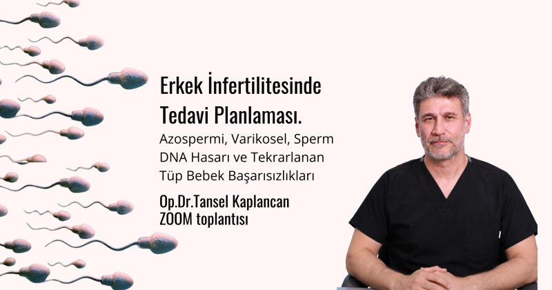 Erkek İnfertilitesinde Tedavi Planlaması.Op.Dr.Tansel Kaplancan ZOOM toplantısı