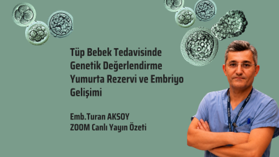 Tüp Bebek Tedavisinde Genetik Değerlendirme Yumurta Rezervi ve Embriyo Gelişimi