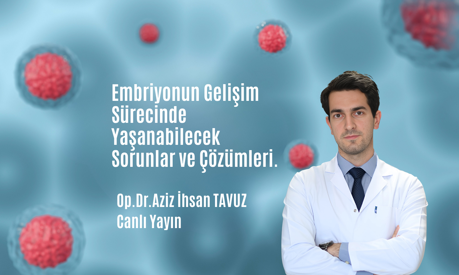 Embriyo Gelişim Sürecinde Yaşanabilecek Sorunlar ve Çözümler